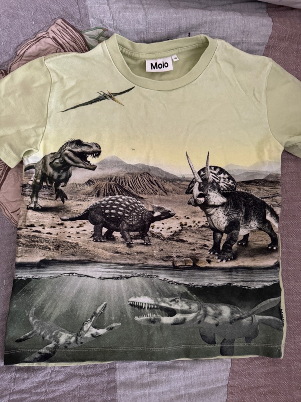 Molo Light Green Dinosaur Scene Short Sleeve Tee Size 8